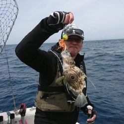 ブルーピア 釣果