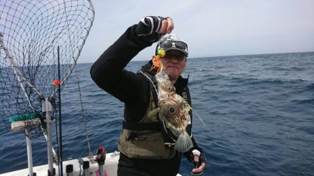 ブルーピア 釣果