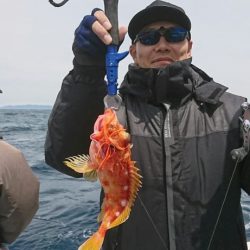 ブルーピア 釣果