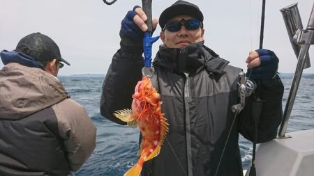 ブルーピア 釣果