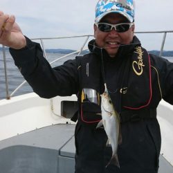 ブルーピア 釣果