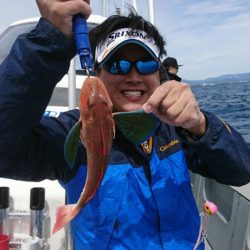 ブルーピア 釣果