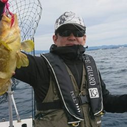 ブルーピア 釣果