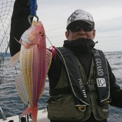 ブルーピア 釣果