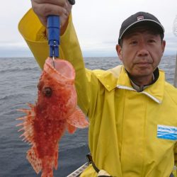 ブルーピア 釣果