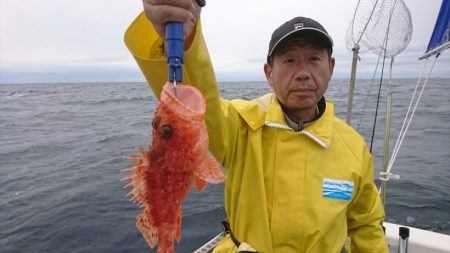 ブルーピア 釣果