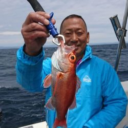 ブルーピア 釣果