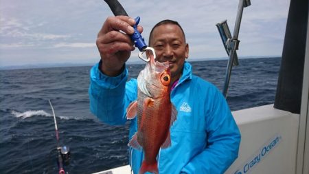 ブルーピア 釣果