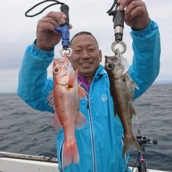 ブルーピア 釣果