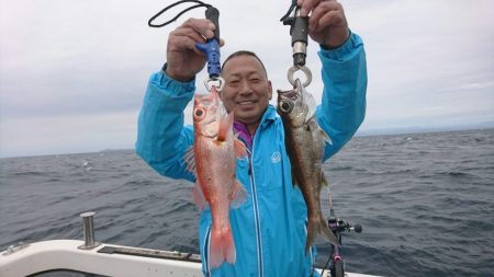 ブルーピア 釣果