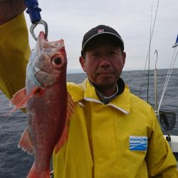 ブルーピア 釣果