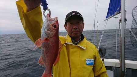 ブルーピア 釣果