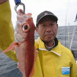 ブルーピア 釣果