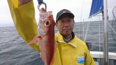 ブルーピア 釣果