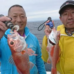 ブルーピア 釣果