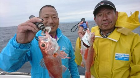 ブルーピア 釣果