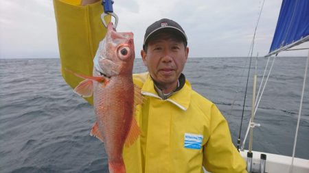 ブルーピア 釣果