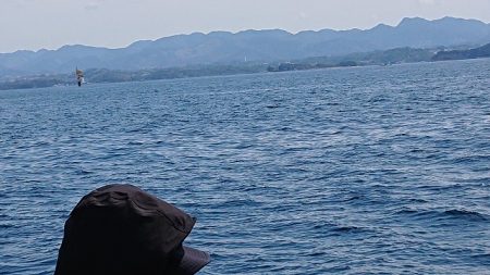 フィッシングボートACE(エース) 釣果