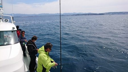 フィッシングボートACE(エース) 釣果