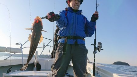 フィッシングボートACE(エース) 釣果