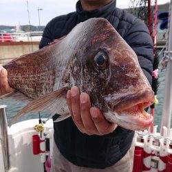 フィッシングボートACE(エース) 釣果