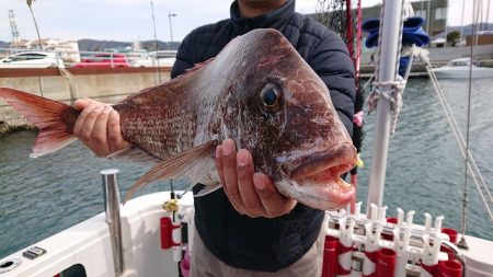 フィッシングボートACE(エース) 釣果