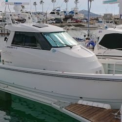 フィッシングボートACE（エース） 釣果