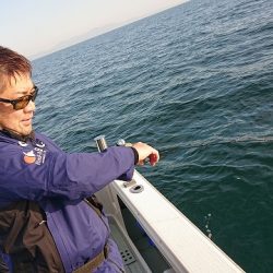 フィッシングボートACE(エース) 釣果