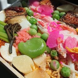 フィッシングボートACE(エース) 釣果