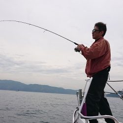 フィッシングボートACE(エース) 釣果