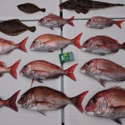 フィッシングボートACE(エース) 釣果