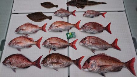 フィッシングボートACE（エース） 釣果