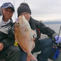 フィッシングボートACE(エース) 釣果