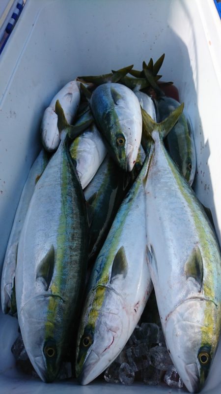 武士(SAMURAI) 釣果