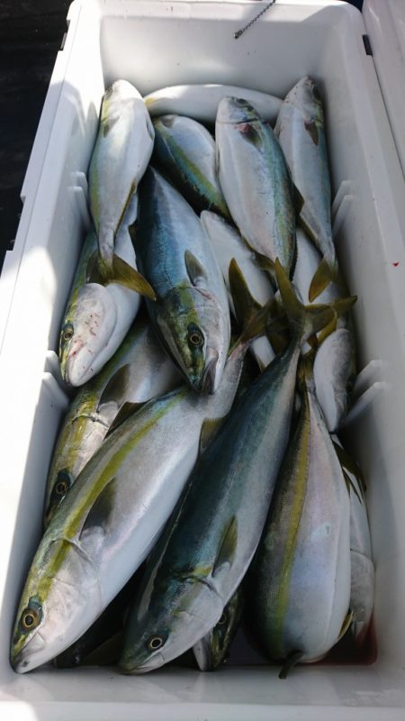 武士(SAMURAI) 釣果