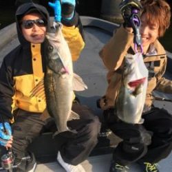 シーマジカル 釣果