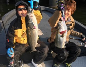 シーマジカル 釣果