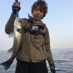 シーマジカル 釣果