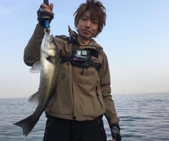 シーマジカル 釣果