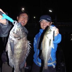 シーマジカル 釣果