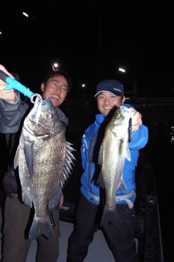 シーマジカル 釣果