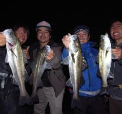 シーマジカル 釣果