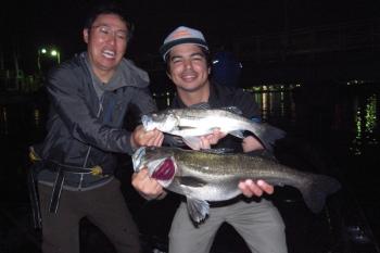 シーマジカル 釣果