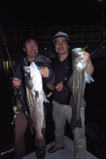 シーマジカル 釣果