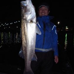 シーマジカル 釣果