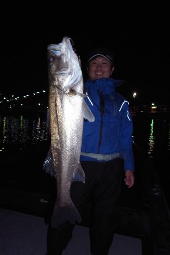 シーマジカル 釣果