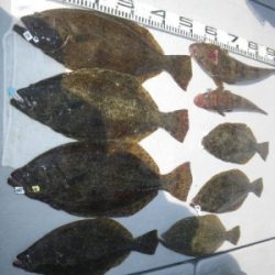 磯部釣船 直栄丸 釣果