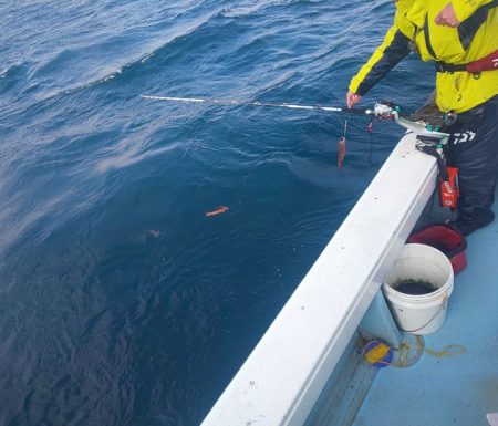 金剛丸 釣果