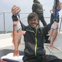 ブルーピア 釣果