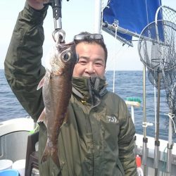 ブルーピア 釣果